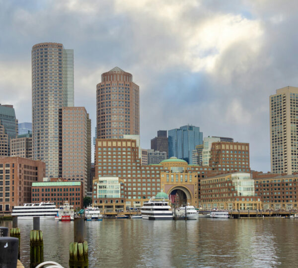 Read more about the article Massachusetts Dog Daycare Regulation