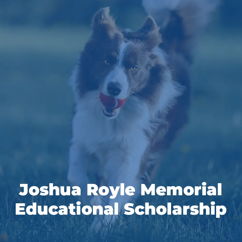 Joshua Royle Memorial Scholarship