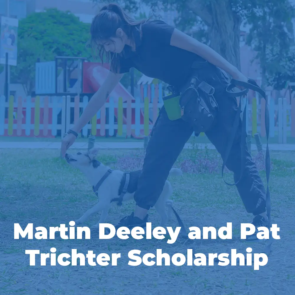 Martin Deeley & Pat Trichter Scholarship