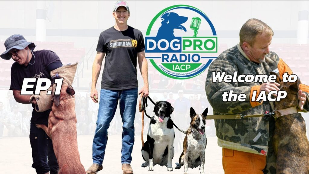 Dog Pro Radio Episode 1