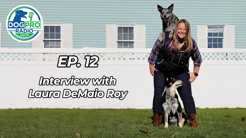 laura DeMaio Roy Podcast episode