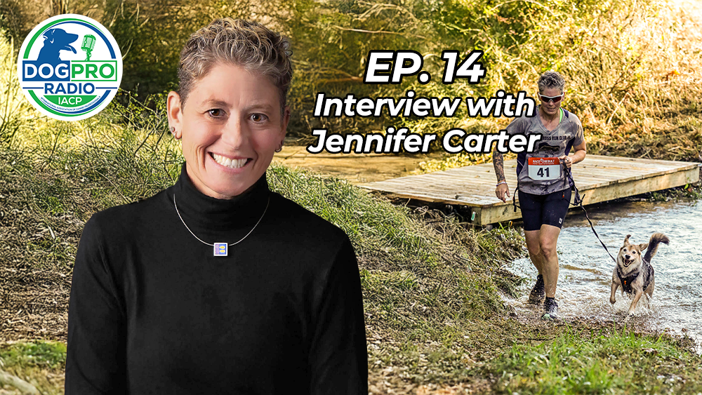 Dog Pro Radio Podcast Jennifer Carter