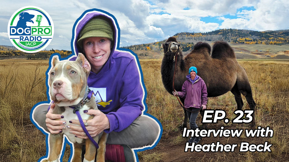 Heather Beck Dog Pro Radio Podcast