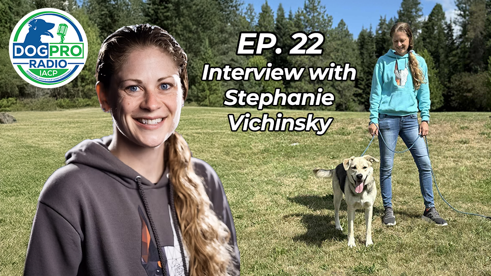 Stephanie Vichinsky Method K9 podcast