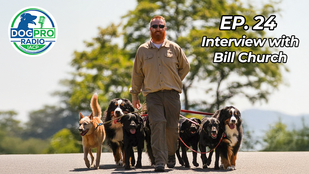 Dog Pro Radio Episode with Bill Church