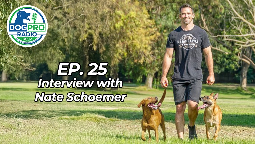 Nate Schoemer Dog Pro Radio Podcast