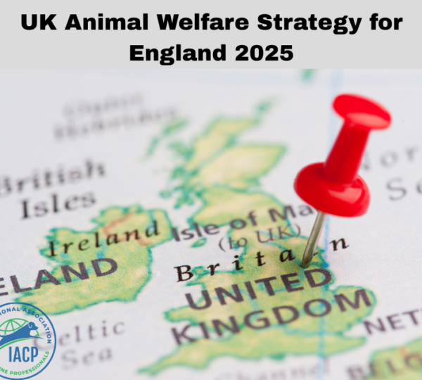 Read more about the article UK ANIMAL WELFARE STRATEGY FOR ENGLAND