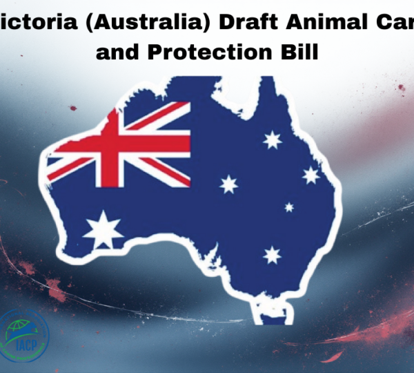 Read more about the article Victoria (Australia) Draft Animal Care and Protection Bill