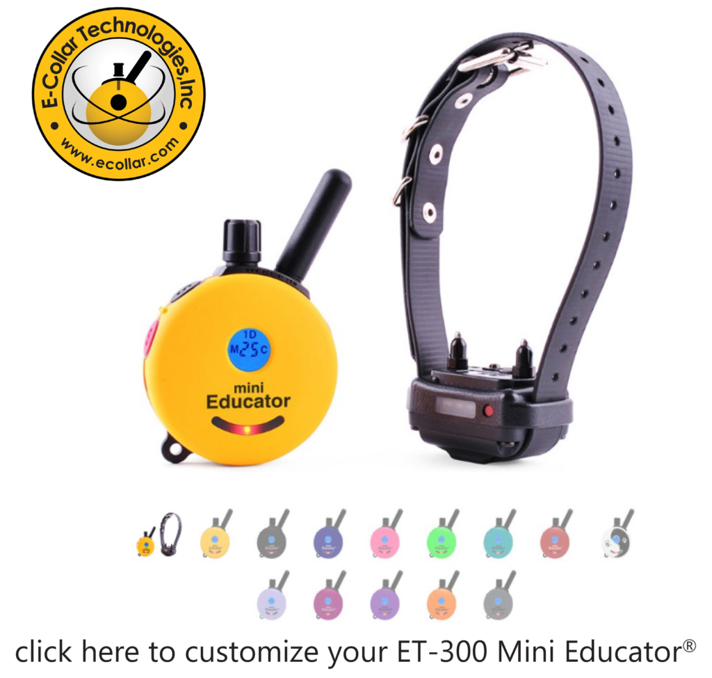 E-collar Technologies