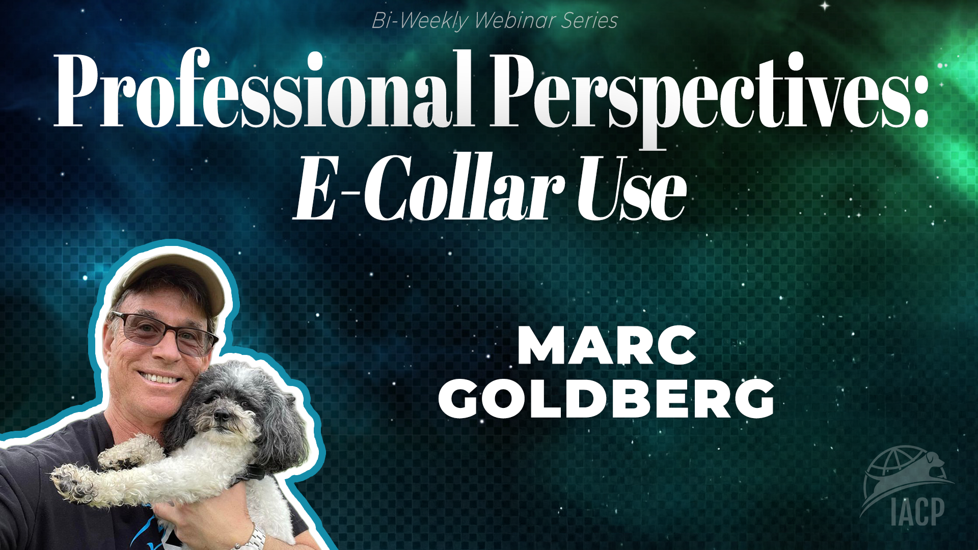 Marc1 Marc Goldberg E-Collar Webinar