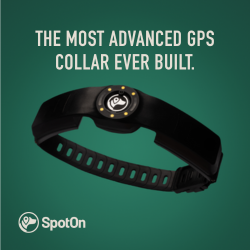 Spot On Collars