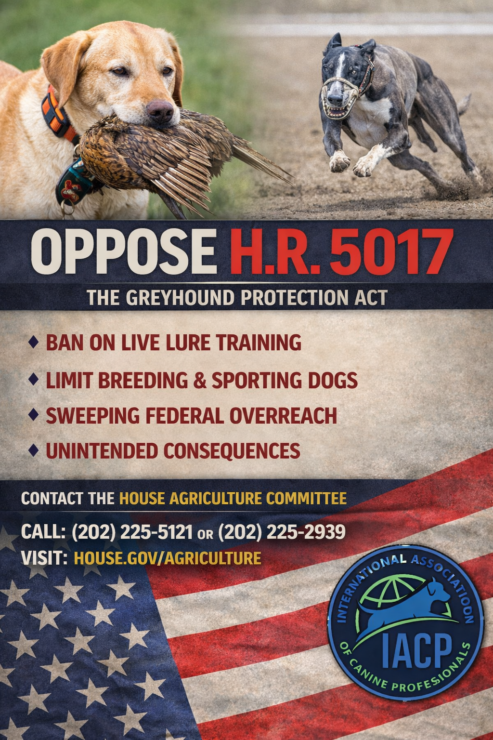 You are currently viewing H.R. 5017 – Greyhound Protection Act of 2025 Included in Farm Bill of 2026