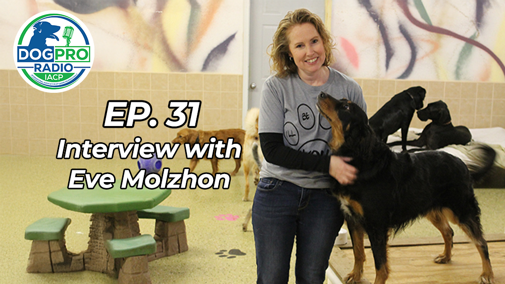 Eve Molzhon Podcast