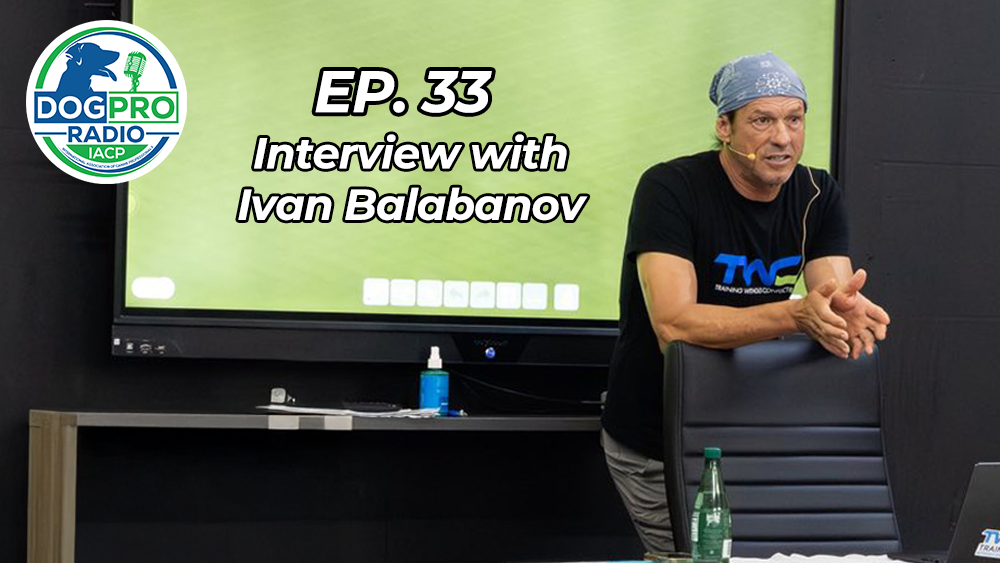 Ivan Balabanov Dog Pro Radio