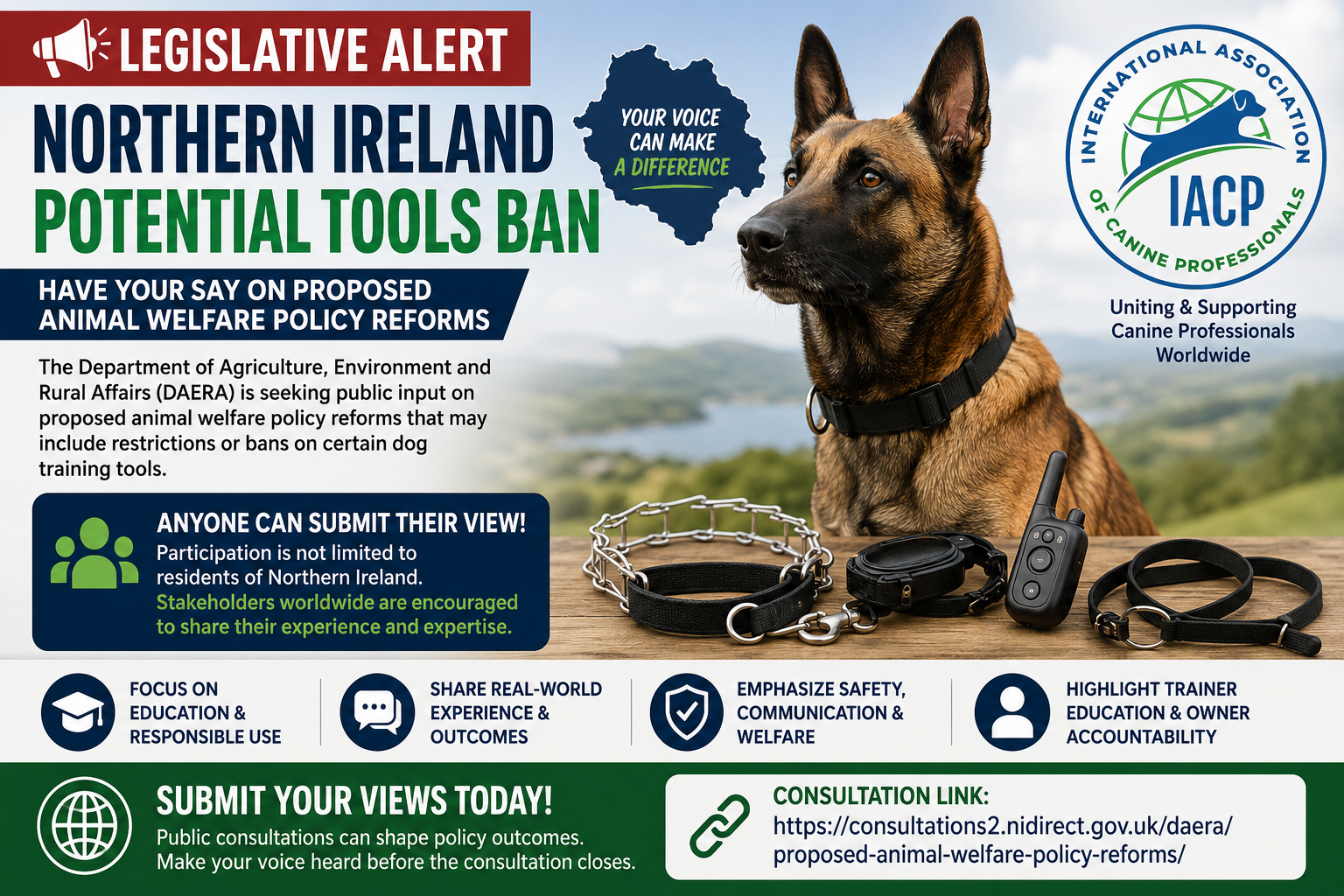 Read more about the article Northern Ireland Seeking Public Input on Proposed Dog Training Tools Ban