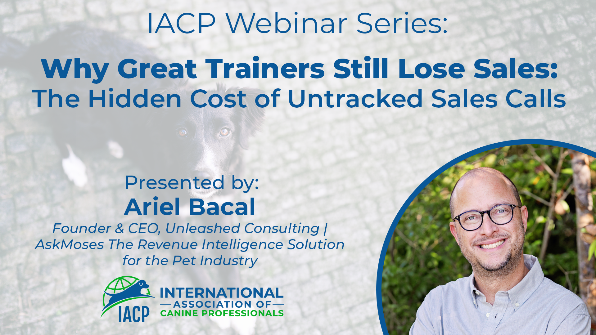 Unleashed Webinar AskMoses